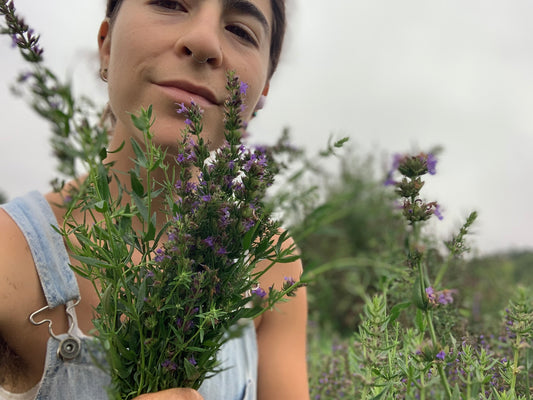 ONE WEEK TRIAL Fresh Herb CSA Shares